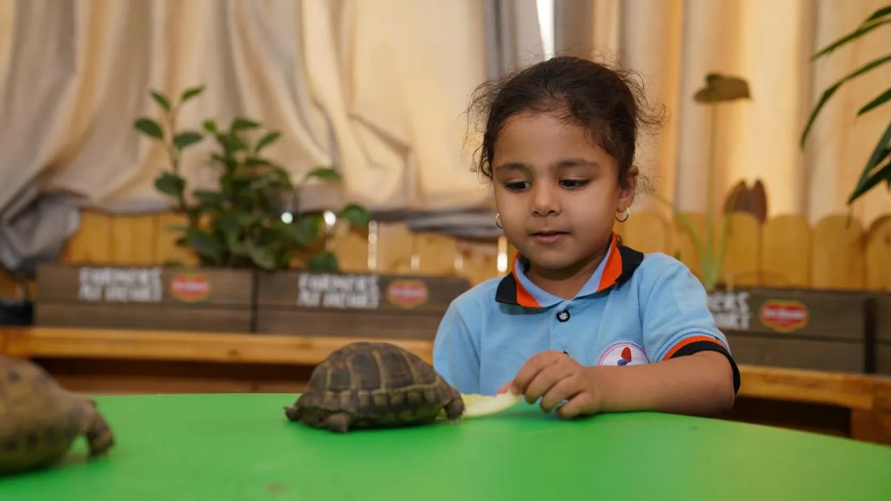 أنشطة إبداعية